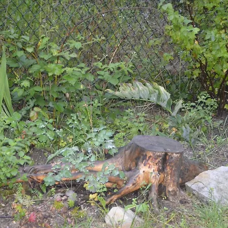 Dom Otwarty Kwatera prywatna Jelenia Góra