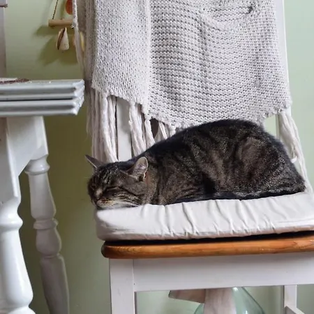 Kwatera prywatna Dom Otwarty