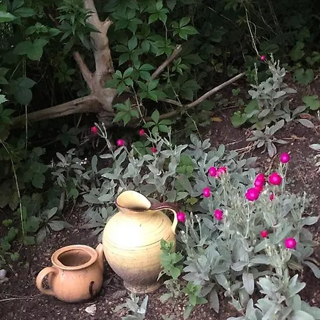 Dom Otwarty Kwatera prywatna *