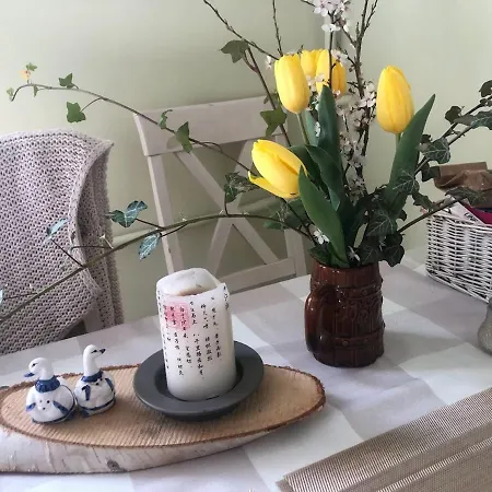 Dom Otwarty Kwatera prywatna Jelenia Góra