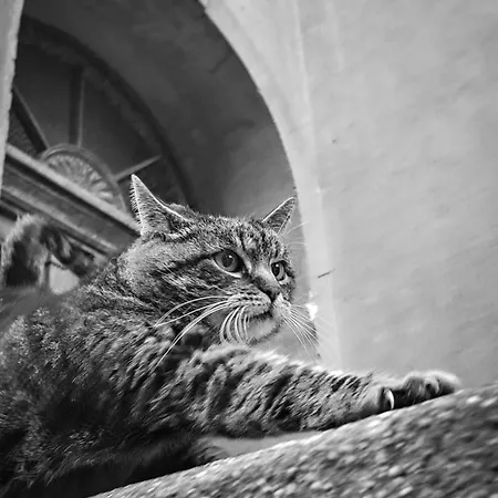 Kwatera prywatna Dom Otwarty *