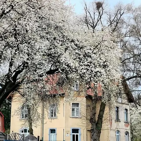 Dom Otwarty Jelenia Góra