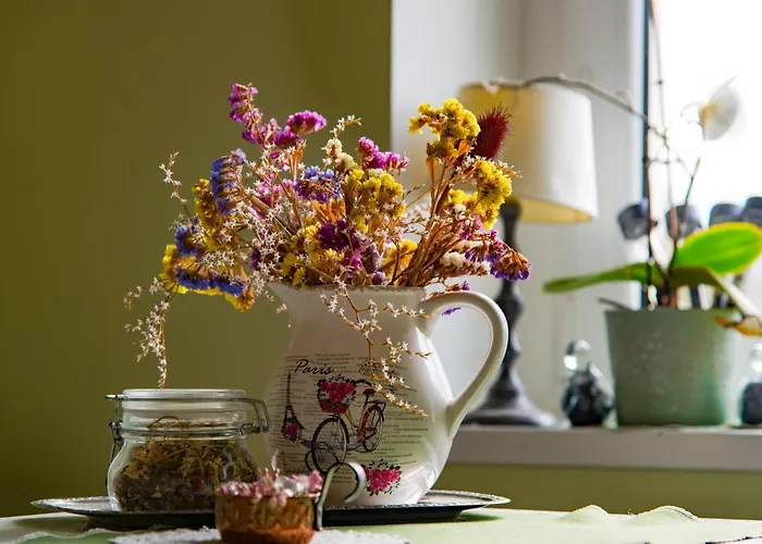 Dom Otwarty Homestay *