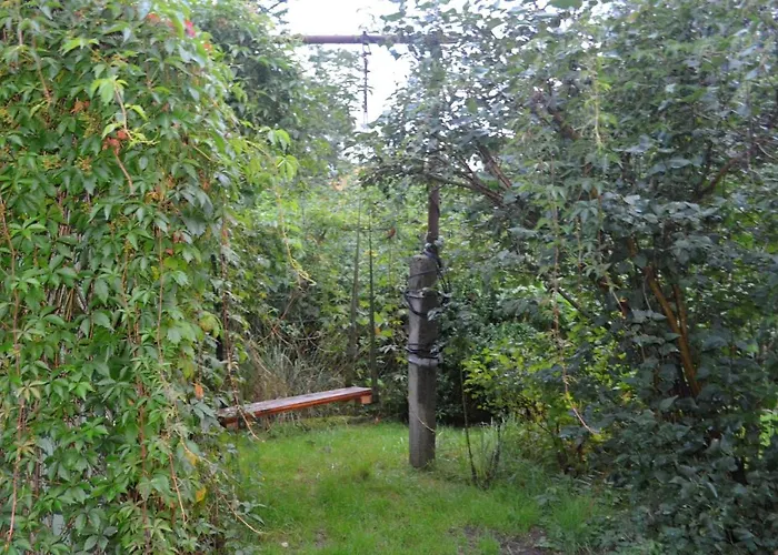 Homestay Dom Otwarty *