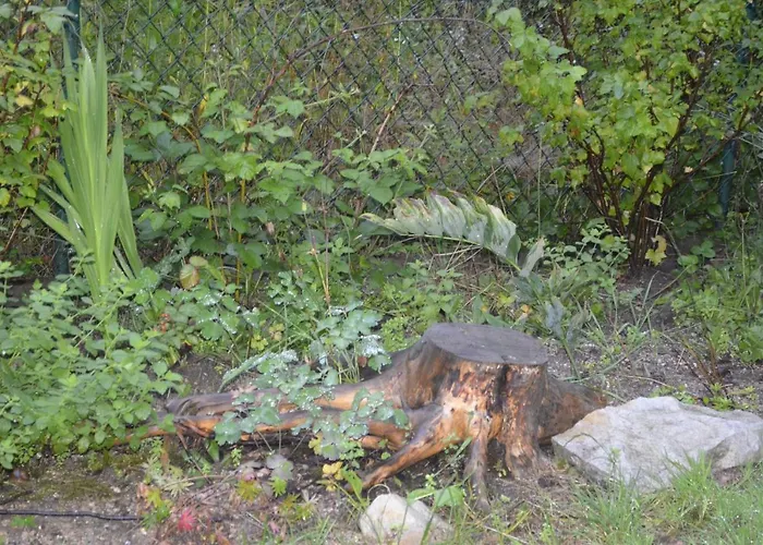 Dom Otwarty Habitación en casa particular Jelenia Góra