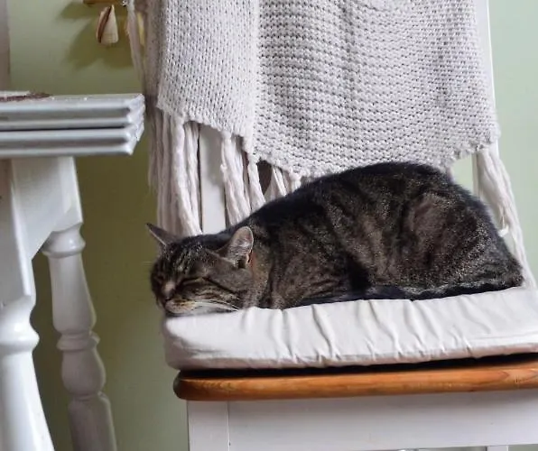 Habitación en casa particular Dom Otwarty