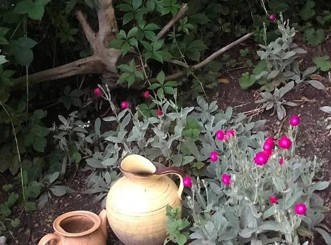 Dom Otwarty Проживание в семье *