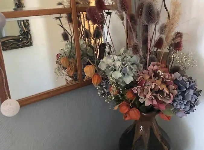 Dom Otwarty Проживание в семье *