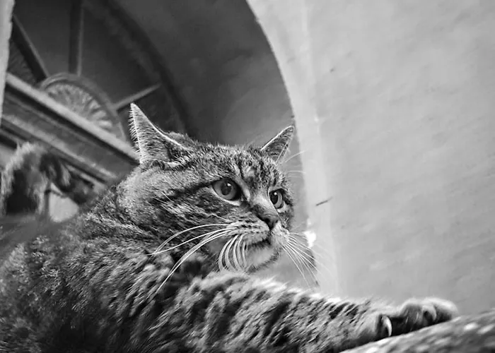 Habitación en casa particular Dom Otwarty *