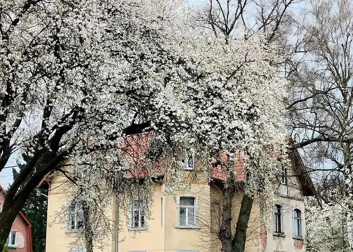 Dom Otwarty Jelenia Gora